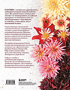 Dahlias. Extraordinary flowers for home and garden