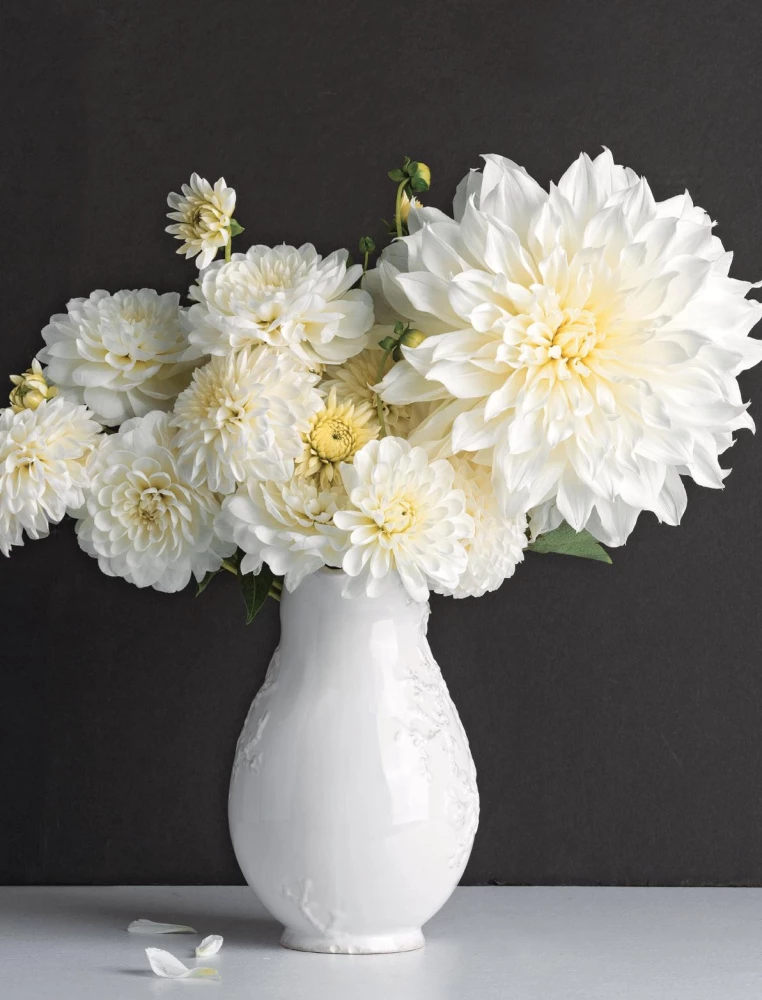 Dahlias. Extraordinary flowers for home and garden