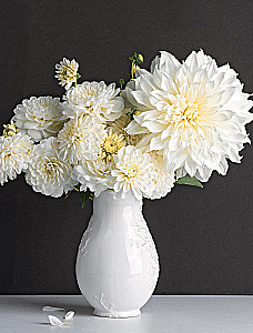 Dahlias. Extraordinary flowers for home and garden