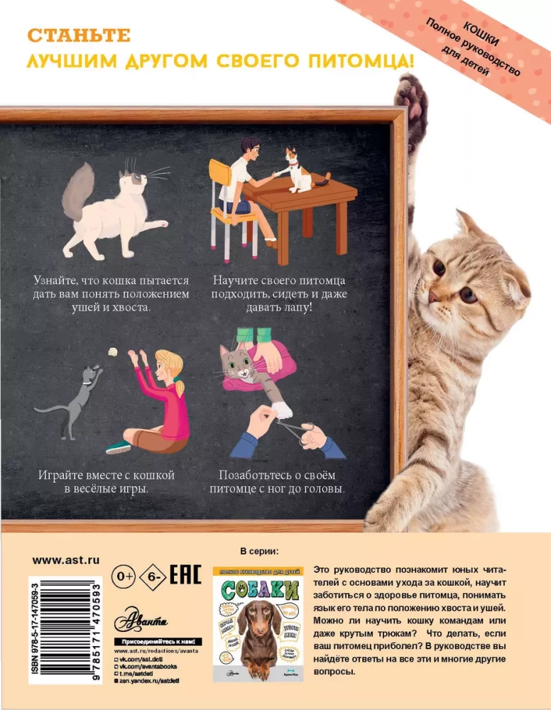 Cats. A Complete Guide for Children