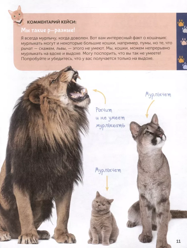 Cats. A Complete Guide for Children