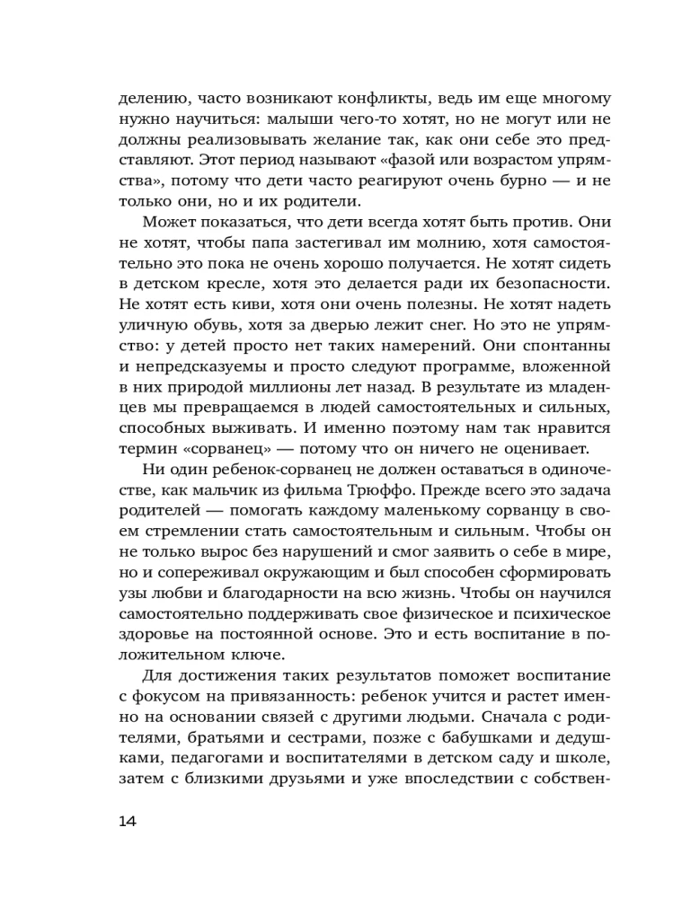 Мой маленький сорванец. Как воспитывать гиперактивного ребенка и не сойти с ума