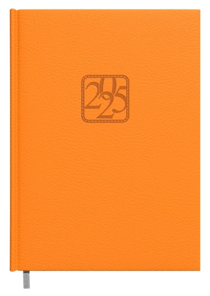 Diary - Assistant 2025, colors in assortment