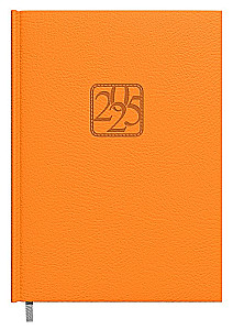 Diary - Assistant 2025, colors in assortment