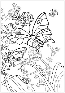 Mega Coloring Book. Animals