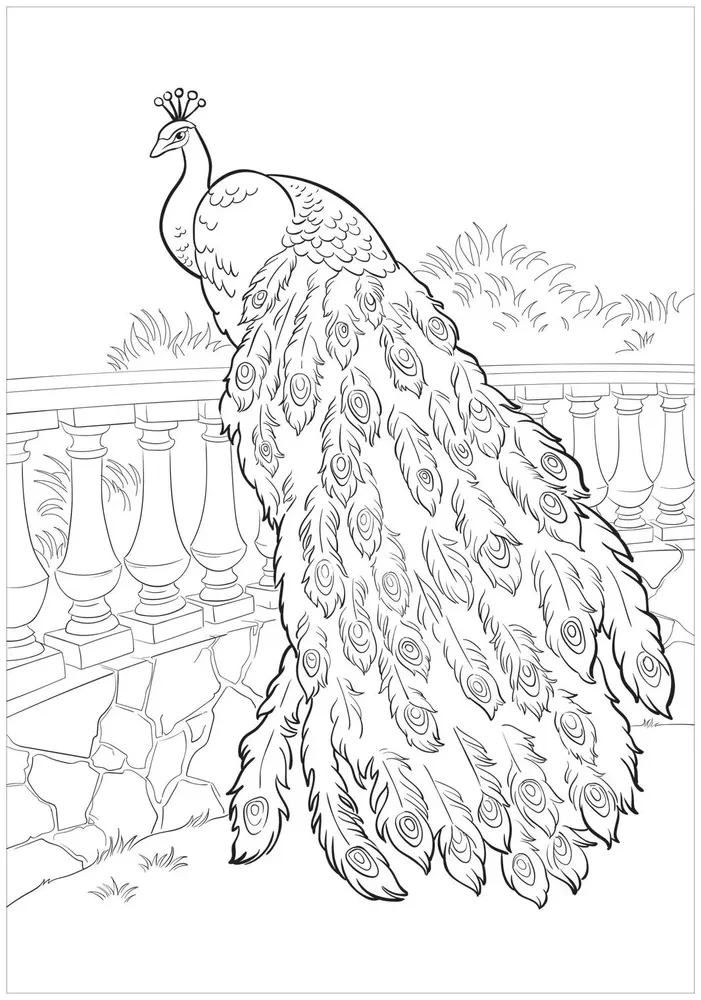 Mega Coloring Book. Animals