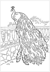 Mega Coloring Book. Animals