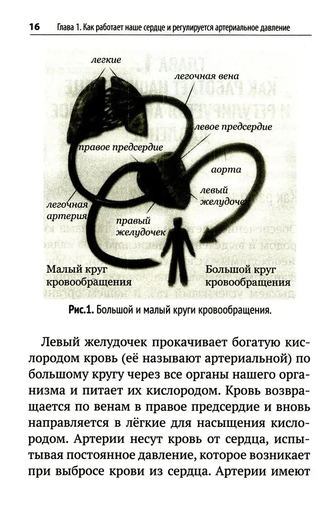 Повышенное давление, свет красный. Ответы на вопросы, которые вы хотели бы задать врачу