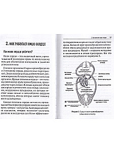 Why the Heart Started to Thump. Your Home Guide to Heart Arrhythmias