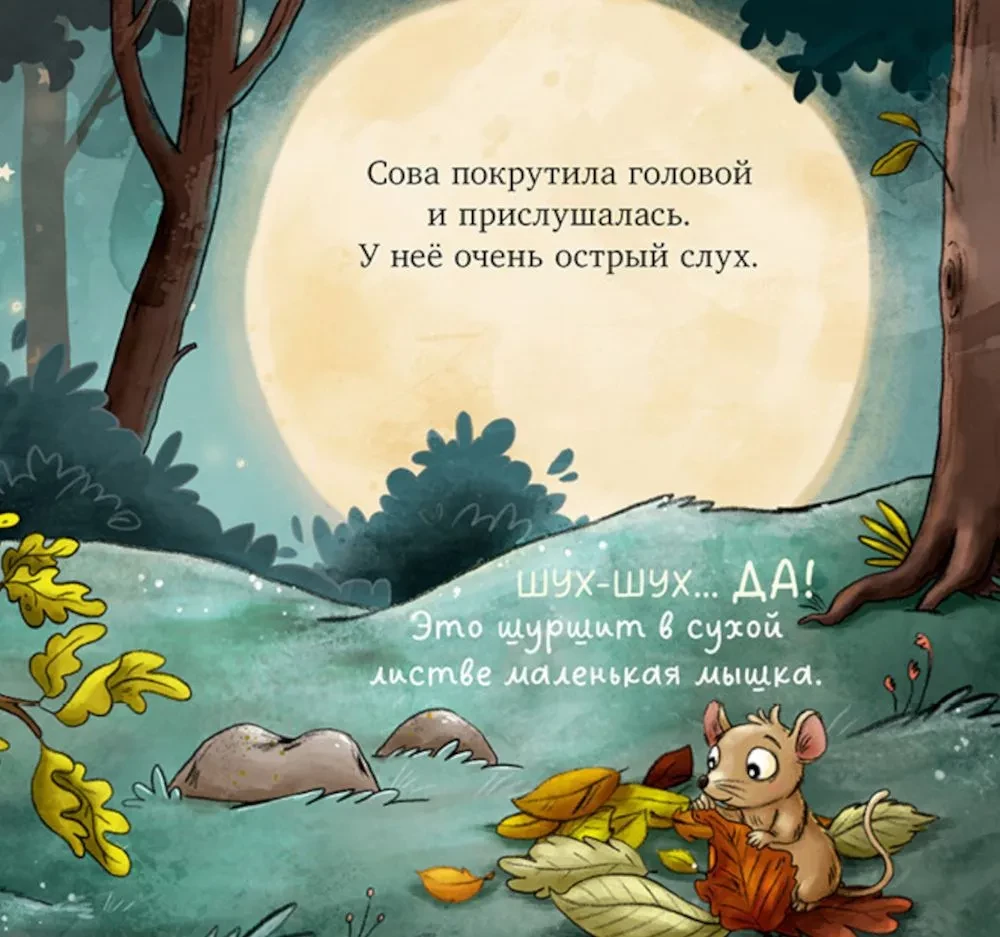 The Little Owl in the Forest. The First Nature Book for the Child