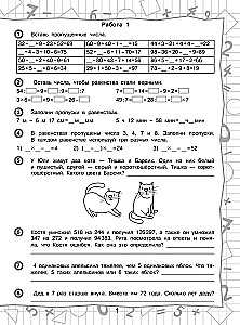 3000 Examples in Mathematics. Unboring Tasks and Challenging Examples. With Answers and Explanations. 4th Grade