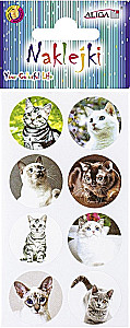 Stickers - Cats and Dogs