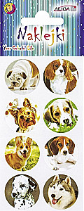 Stickers - Cats and Dogs