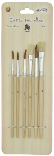 Brush Set (6 pieces)