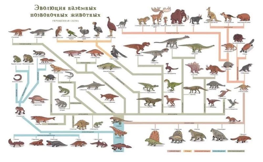 Atlas of Extinct Animals