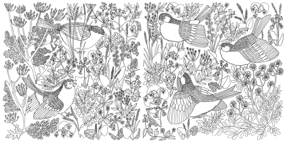 Coloring Book. Birds of Happiness. Color Your World and Add the Colors of Life