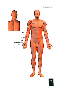 Pocket Atlas of Acupuncture