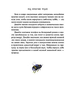 Год простых чудес. Найти опору и вдохновение в красоте повседневности