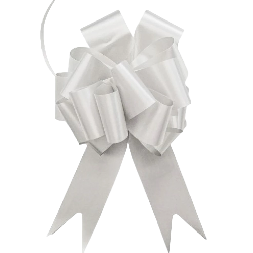 Gift silver ribbon (5x150cm)