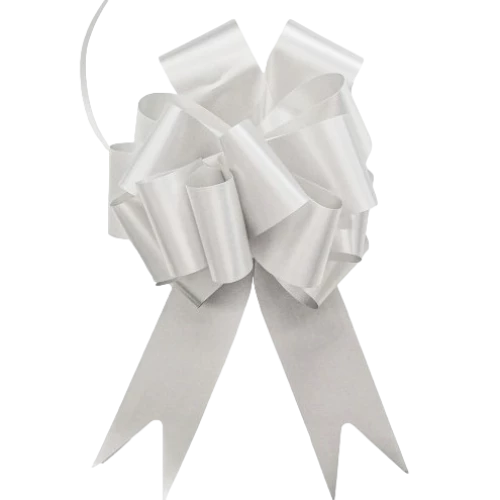 Gift silver ribbon (5x150cm)