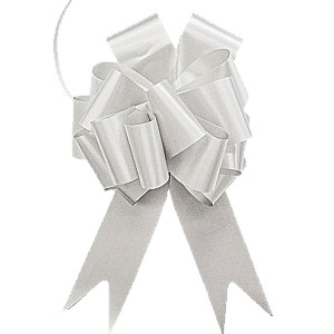 Gift silver ribbon (5x150cm)