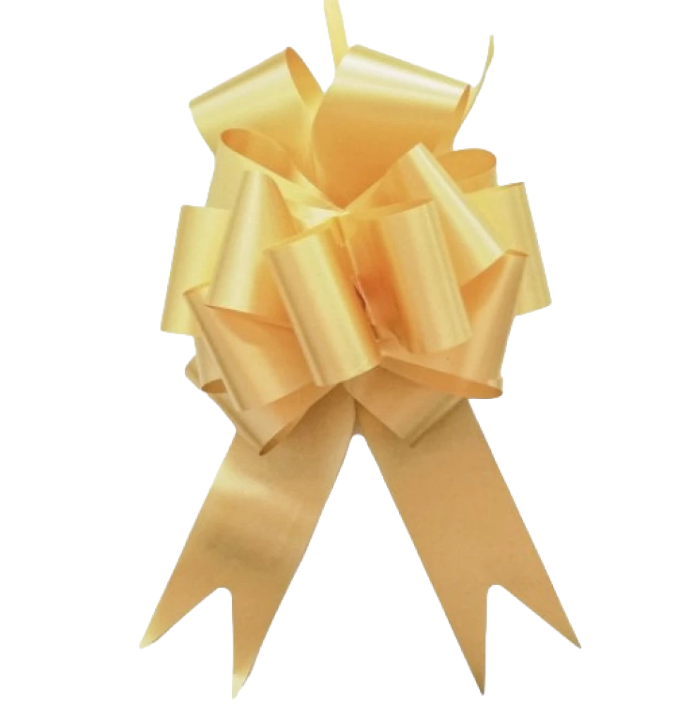 Gift gold ribbon (5x150cm)