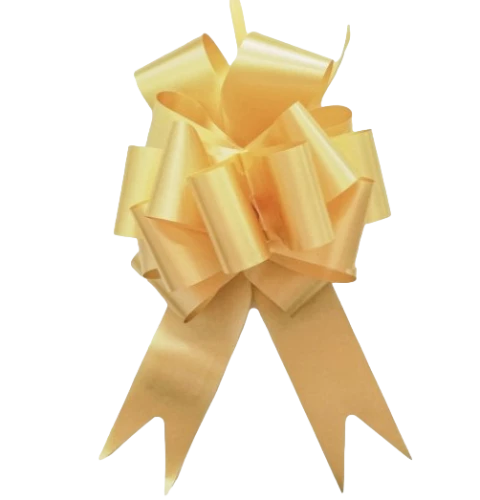 Gift gold ribbon (5x150cm)