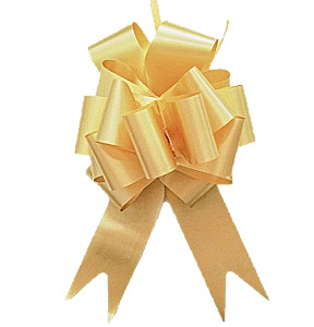 Gift gold ribbon (5x150cm)