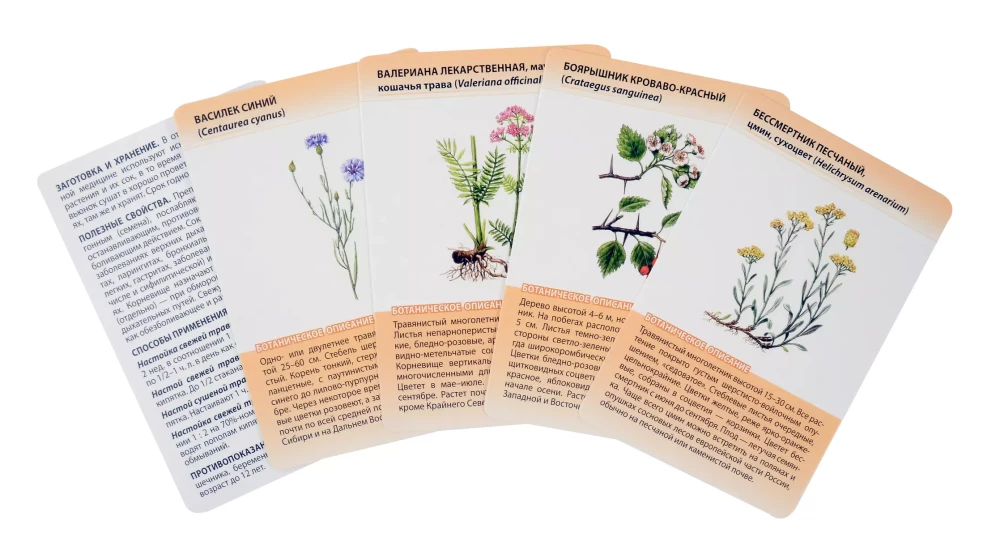 Medicinal Plants from A to Z. 50 Cards