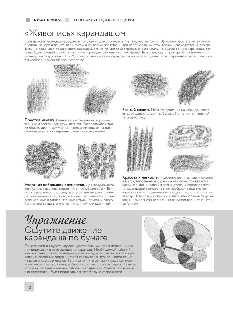 Анатомия для художников. Более 50 проектов. Полная энциклопедия