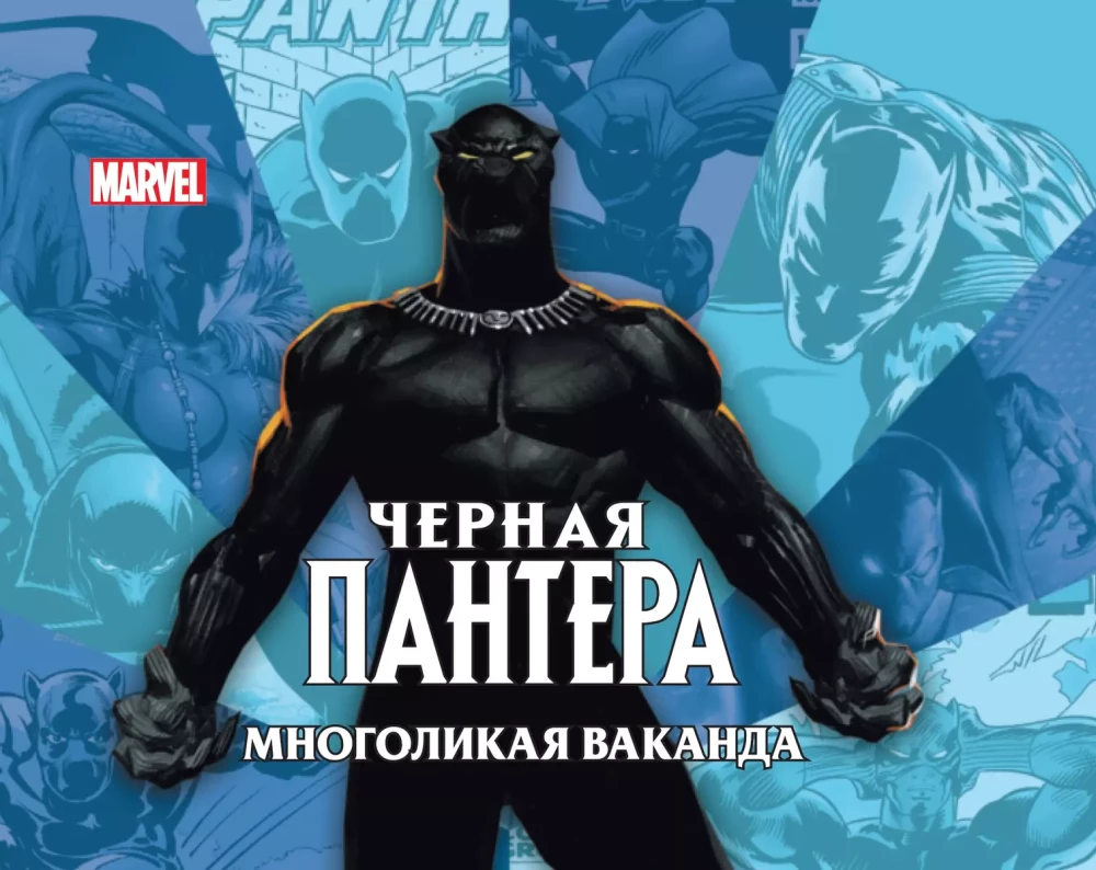 Black Panther: The Many Faces of Wakanda by J. Harreld