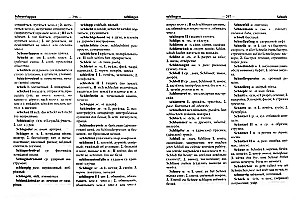 The Latest School German-Russian and Russian-German Dictionary