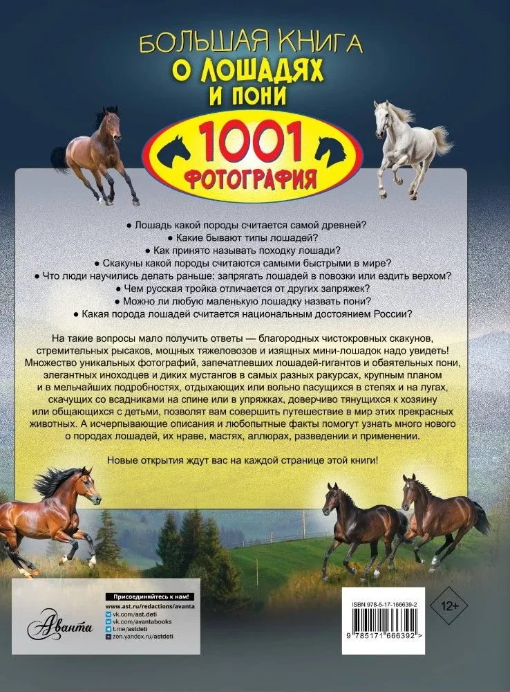 Большая книга о лошадях и пони. 1001 фотография