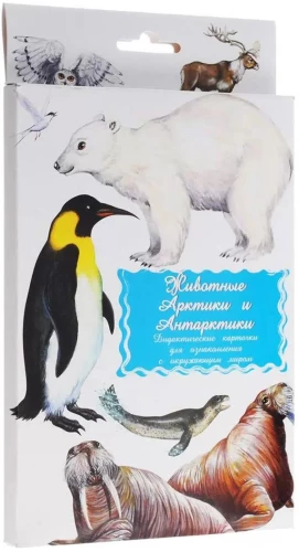 Didactic cards - Animals of the Arctic and Antarctica