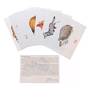 Didactic cards - Animals of our forests