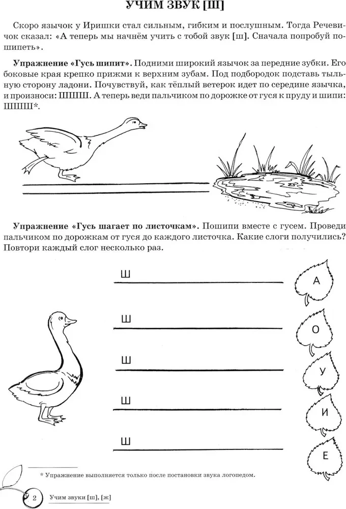 Учим звуки [ш], [ж]. Домашняя логопедическая тетрадь для детей 5-7 лет