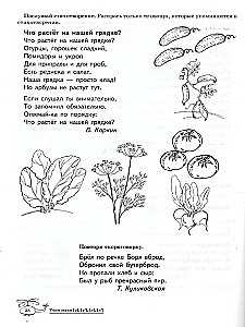 Учим звуки [р], [р  ], [л], [л  ]. Домашняя логопедическая тетрадь для детей 5-7 лет. 2-е издание