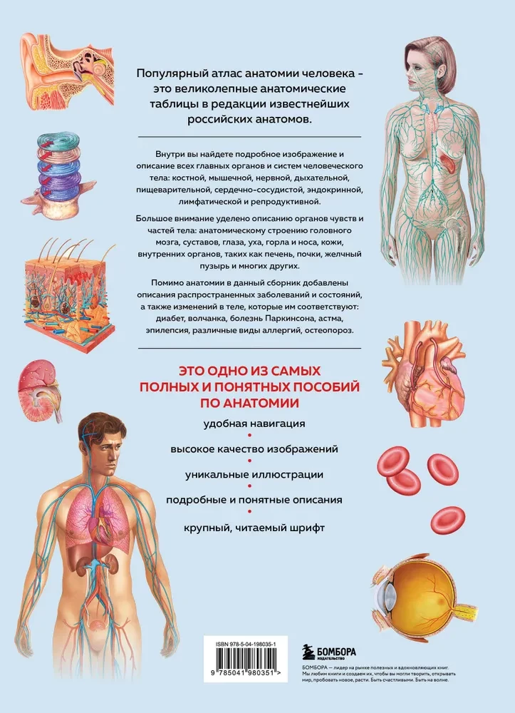 Human Anatomy. Popular Atlas. The Most Detailed Anatomical Images