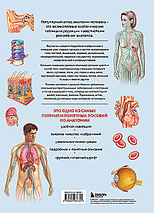 Human Anatomy. Popular Atlas. The Most Detailed Anatomical Images