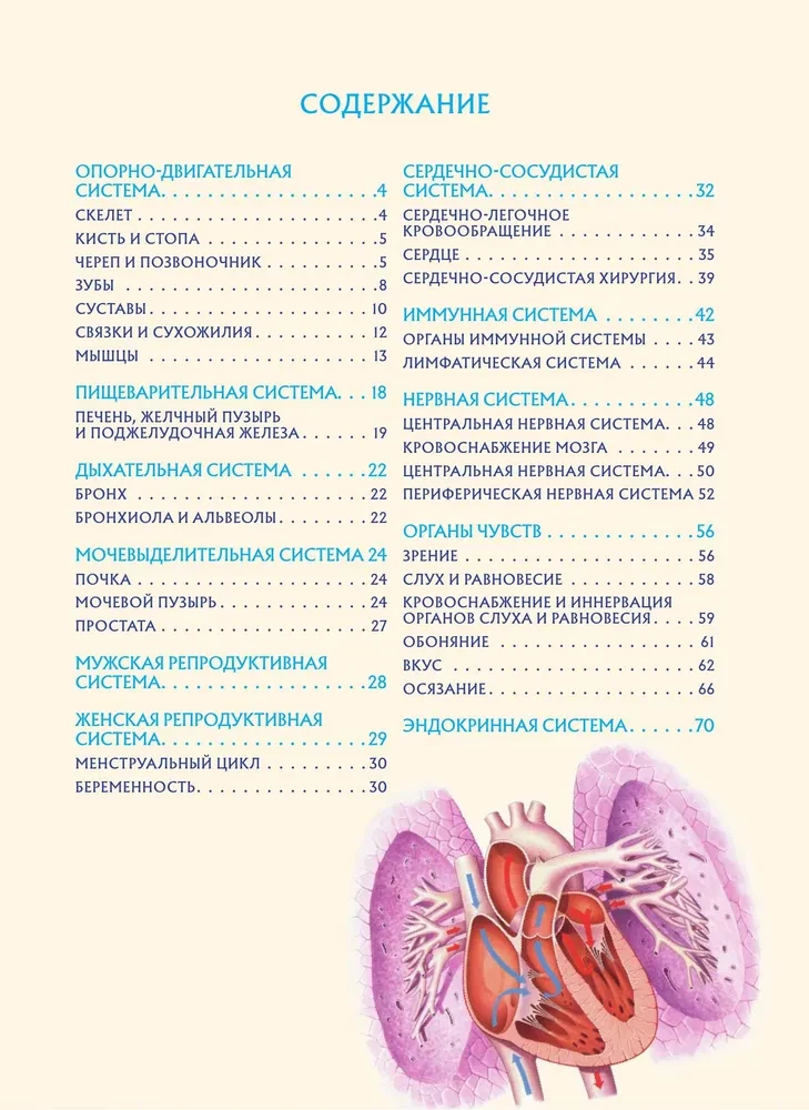 Human Anatomy. Popular Atlas. The Most Detailed Anatomical Images