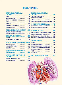 Human Anatomy. Popular Atlas. The Most Detailed Anatomical Images