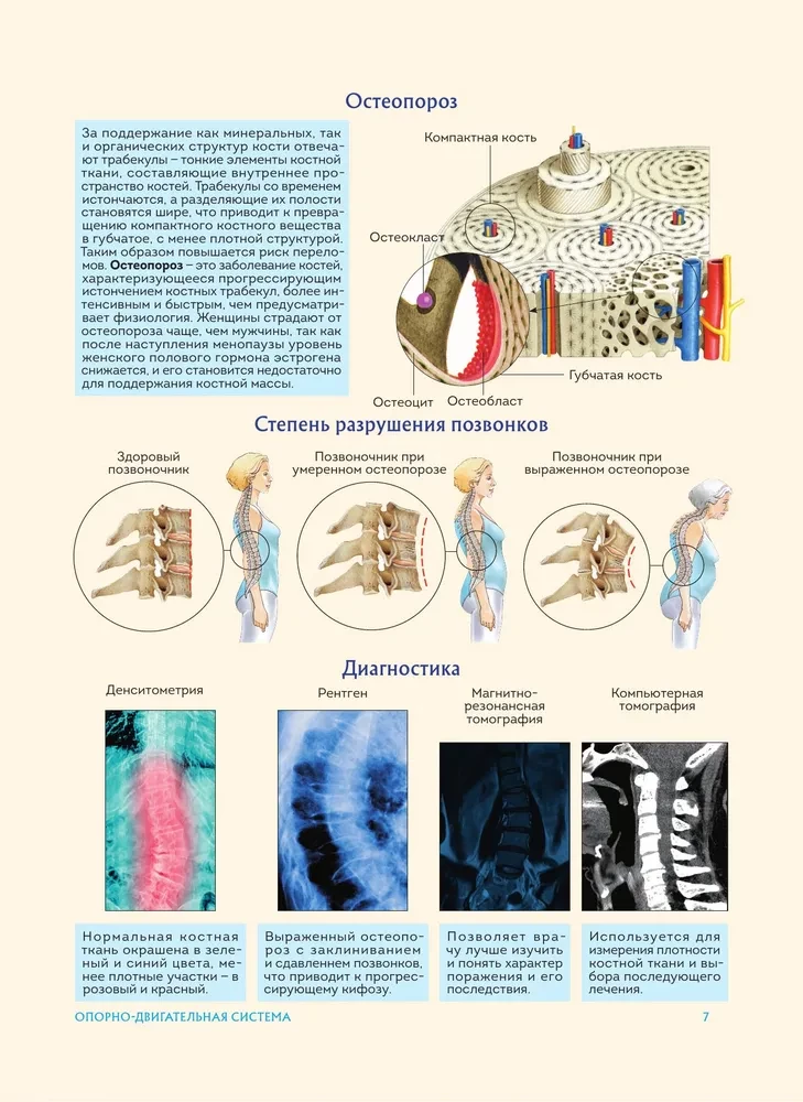 Human Anatomy. Popular Atlas. The Most Detailed Anatomical Images