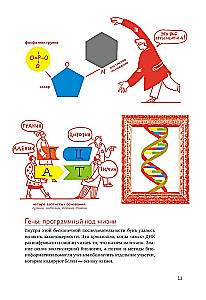 Unraveling DNA. An Exciting Guide to Genetics