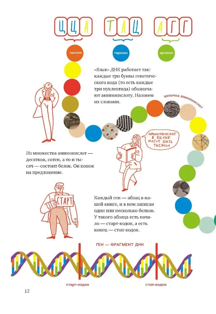 Unraveling DNA. An Exciting Guide to Genetics