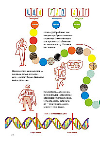 Unraveling DNA. An Exciting Guide to Genetics