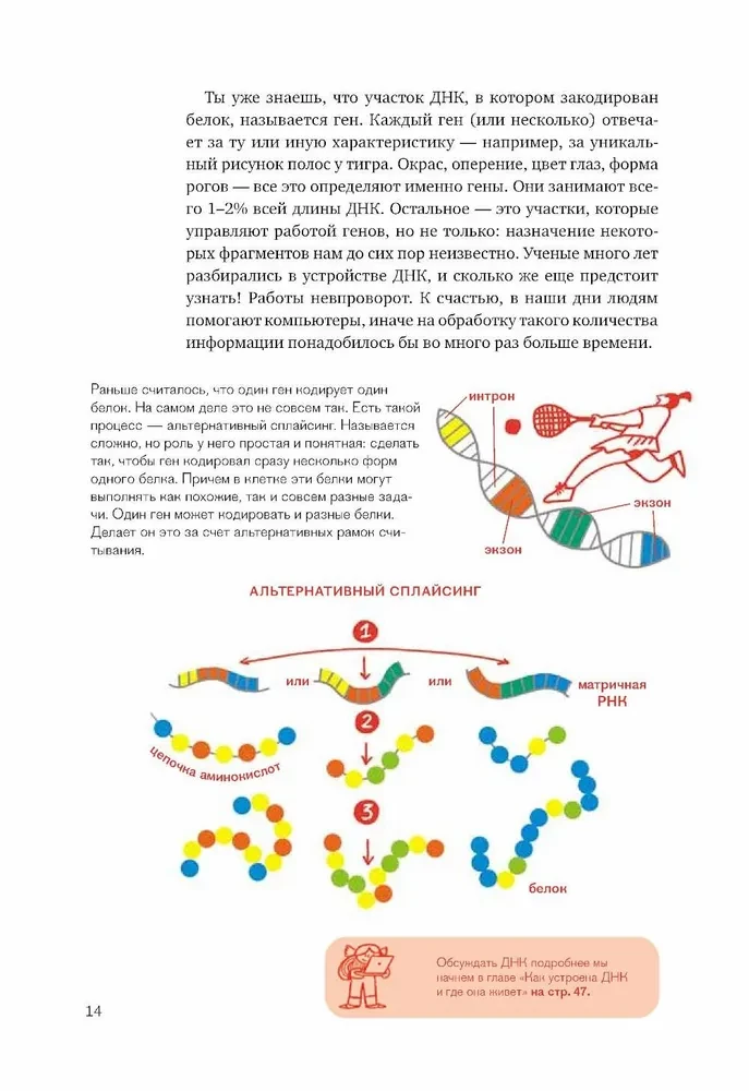 Unraveling DNA. An Exciting Guide to Genetics