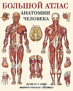 The Great Atlas of Human Anatomy