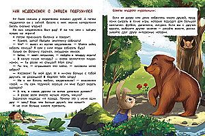 What is Friendship? An Encyclopedia for Little Ones in Fairy Tales