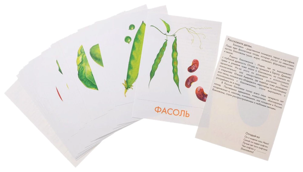 Didactic Cards. Vegetables