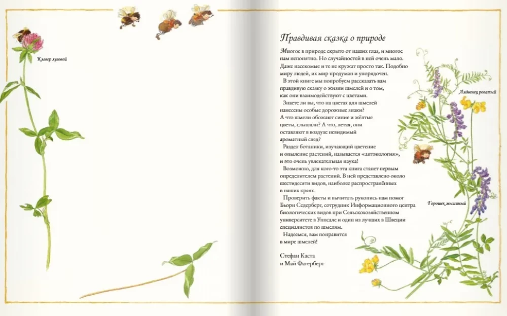 The Flower Book of Bumblebees